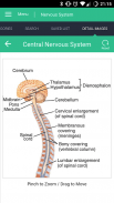 Nervous System Reference Guide screenshot 0