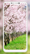 Spring Wallpaper screenshot 4