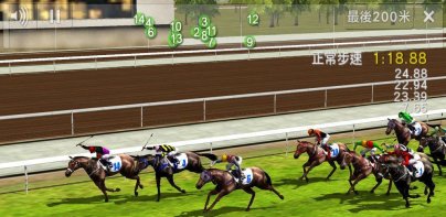 Race Simulator