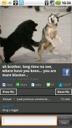 Funny pics (Funpica) screenshot 12