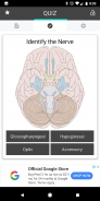 Cranial Nerves Flashcards screenshot 2