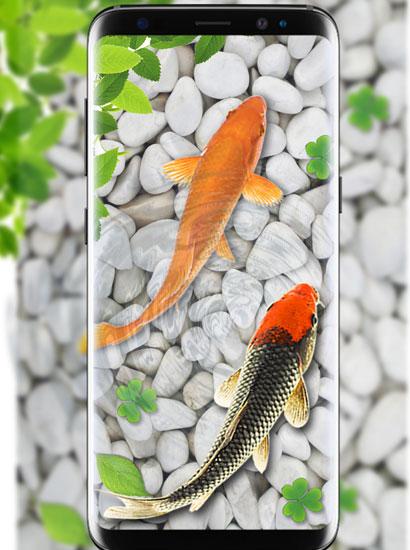 Fish Live Wallpaper Aquarium - APK Download for Android | Aptoide