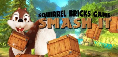 Squirrel Bricks Game: Smash it