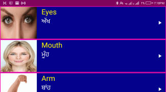 Learn English From Punjabi screenshot 4