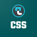 Learn CSS Icon