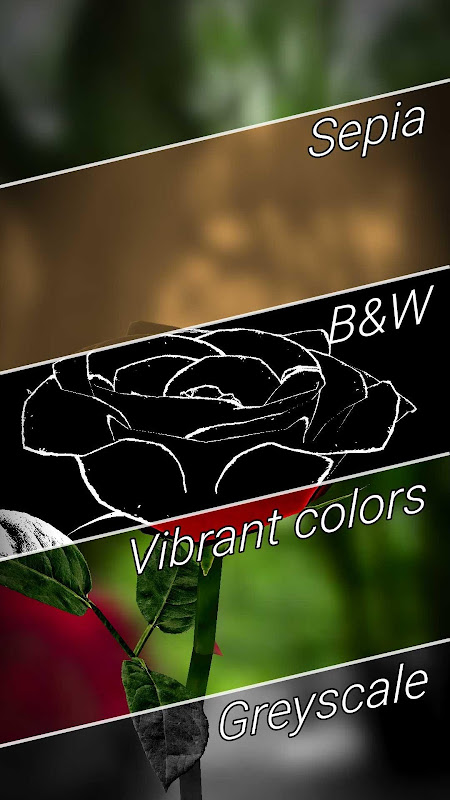3D Rose Live Wallpaper Lite - APK Download for Android | Aptoide