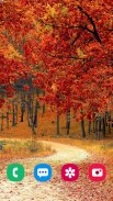 Autumn Wallpaper & Nature HD screenshot 1