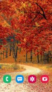 Autumn Wallpapers screenshot 1