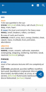 Concise Oxford American Thesaurus screenshot 14