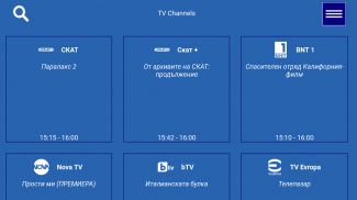 SKAT MobileTV screenshot 1