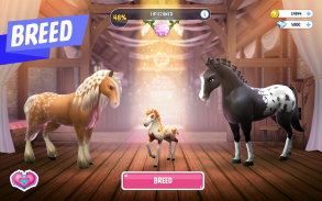 Horse Haven World Adventures screenshot 19