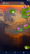 Water Lily Live Wallpaper screenshot 4