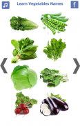 Learn Vegetables Name screenshot 2