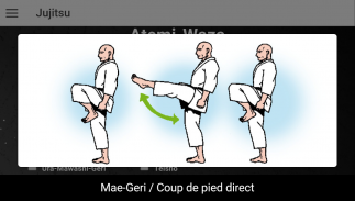 Jujitsu screenshot 3