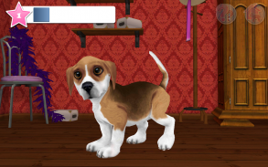 DogWorld - my cute puppy screenshot 3