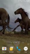 Kuda-kuda liar wallpaper hidup screenshot 4
