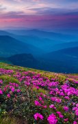 Mountain Flower Live Wallpaper screenshot 8