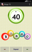 Bingo 75 screenshot 2