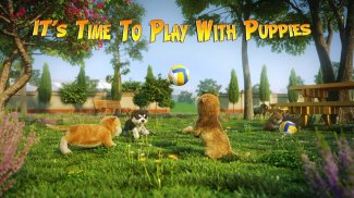Dog Simulator Puppy Craft screenshot 7