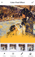 Pixel effect - Shattering photo editor screenshot 0