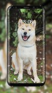 Shiba Inu Wallpaper screenshot 0