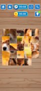 Dogs Puzzle Game screenshot 15