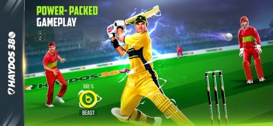 Haydos 380: Cricket Game screenshot 4