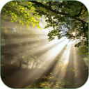 Sunbeams Live Wallpaper Icon