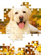 Jigsaw1000 - Jigsaw puzzles screenshot 10