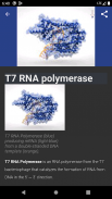 Molecular biology screenshot 2