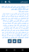 Sahih Bukhari Urdu Offline screenshot 6