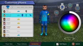 Pro Kick Soccer screenshot 0