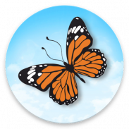 Indian Butterflies screenshot 0