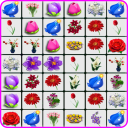 Onet Flowers