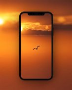 Orange Wallpapers HD screenshot 3