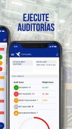 Full Audits - Auditorías y Ges screenshot 5