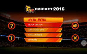 T20 Cricket Game 2016 screenshot 13