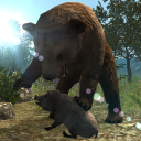 Real Bear Simulator Icon