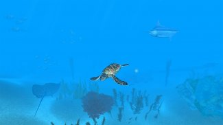 VR Ocean Aquarium 3D screenshot 3