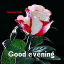 Good Evening Images 2024