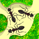 Ant Farm Simulator Icon