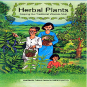 Herbal and Medicinal plants - Fight diseases