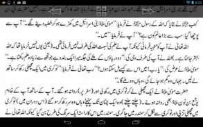 Qasas ul Anbiya Complete screenshot 4