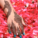 Mehndi Designs 2019 Icon