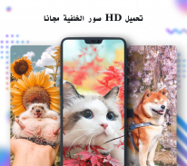 Nox Lucky Wallpaper - خلفية HD حية ، 4K ، 3D screenshot 7