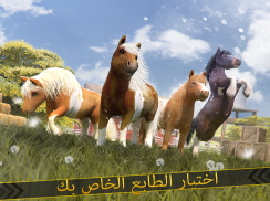 ماي ليتل بوني . ركوب الخيل screenshot 9