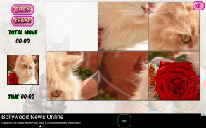 Puzzles of Kittens Free screenshot 10