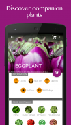 Vegetable Garden–Plant Growth screenshot 0