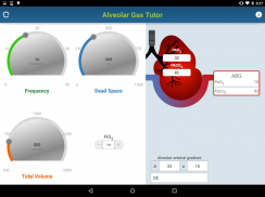 Alveolar Gas Tutor screenshot 2