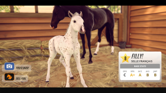 Rival Stars Horse Racing screenshot 19